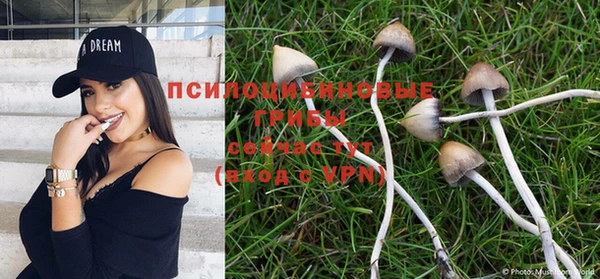 гашиш Абинск